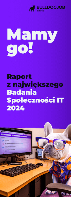 Raport IT 2024
