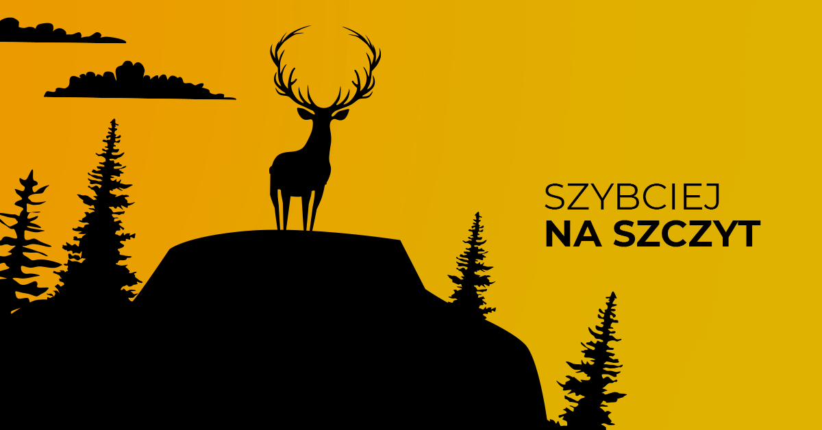Jak szybciej zdobyć szczyty IT?